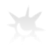 spell